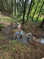 bobri stavi hraze.jpg